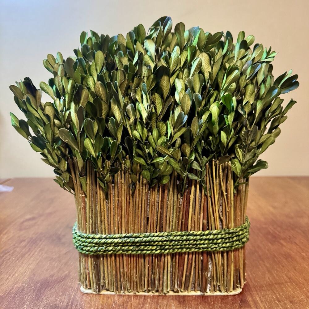 Faux Boxwood 11” Greenery Arrangement Rustic Natural Twig Base Farmhouse Decor